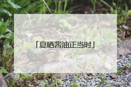 夏晒酱油正当时