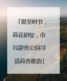 夏至时节，荷花初绽，市民游客公园寻觅荷香雅韵