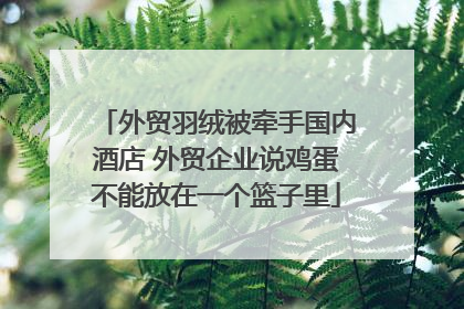 外贸羽绒被牵手国内酒店 外贸企业说鸡蛋不能放在一个篮子里