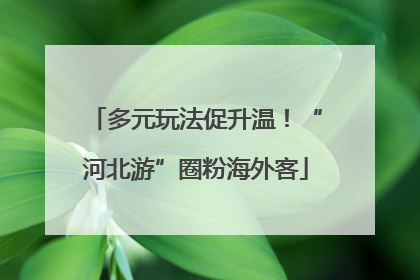 多元玩法促升温！“河北游”圈粉海外客