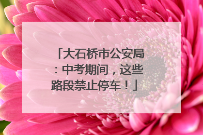 大石桥市公安局：中考期间，这些路段禁止停车！