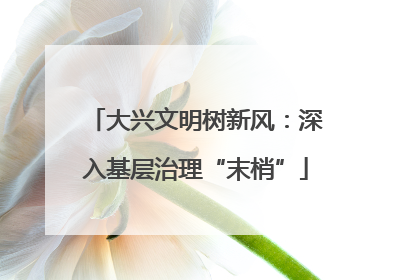 大兴文明树新风：深入基层治理“末梢”