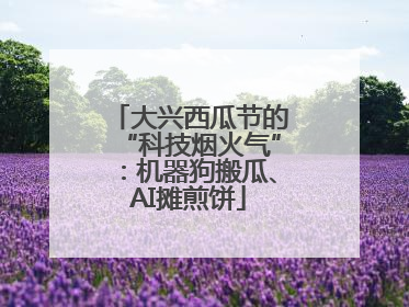 大兴西瓜节的“科技烟火气”：机器狗搬瓜、AI摊煎饼