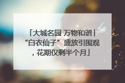 大城名园 万物和谐│“白衣仙子”盛放引围观，花期仅剩半个月