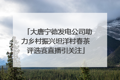 大唐宁德发电公司助力乡村振兴坦洋村春茶评选赛直播引关注