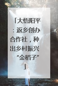 大悟阳平：返乡创办合作社，种出乡村振兴“金稻子”