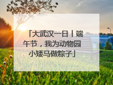 大武汉一日丨端午节，我为动物园小矮马做粽子