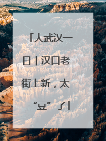 大武汉一日︱汉口老街上新，太“豆”了