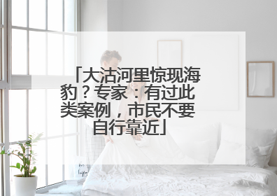 大沽河里惊现海豹？专家：有过此类案例，市民不要自行靠近