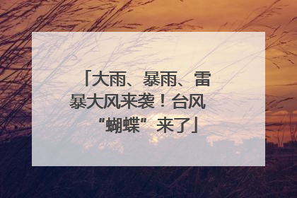大雨、暴雨、雷暴大风来袭！台风“蝴蝶”来了