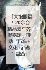 大饱眼福！20余台精品豪车齐聚嘉定，推动“汽车+文化+消费”融合