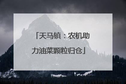 天马镇：农机助力油菜颗粒归仓
