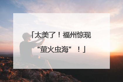 太美了！福州惊现“萤火虫海”！