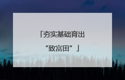 夯实基础育出“致富田”