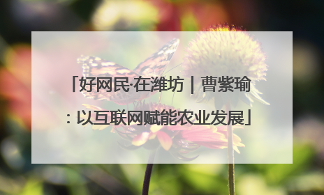 好网民·在潍坊｜曹紫瑜：以互联网赋能农业发展