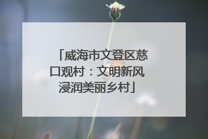 威海市文登区慈口观村：文明新风浸润美丽乡村