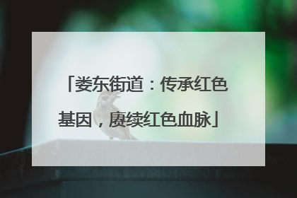 娄东街道：传承红色基因，赓续红色血脉