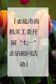 娄底市直机关工委开展“七一”走访慰问活动
