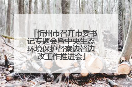 忻州市召开市委书记专题会暨中央生态环境保护督察边督边改工作推进会