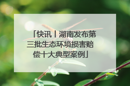 快讯丨湖南发布第三批生态环境损害赔偿十大典型案例