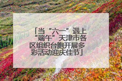 当“六一”遇上“端午”天津市各区组织台胞开展多彩活动迎庆佳节