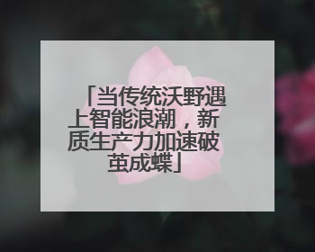 当传统沃野遇上智能浪潮，新质生产力加速破茧成蝶