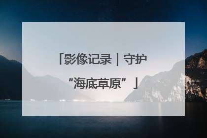 影像记录｜守护“海底草原”