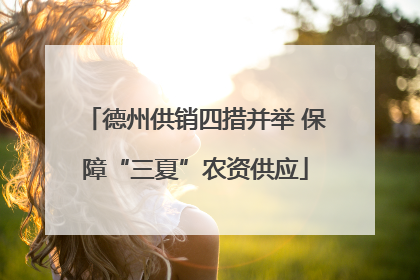 德州供销四措并举 保障“三夏”农资供应