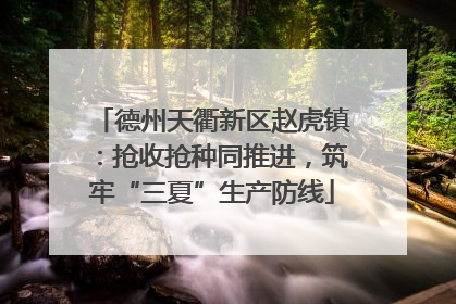 德州天衢新区赵虎镇：抢收抢种同推进，筑牢“三夏”生产防线