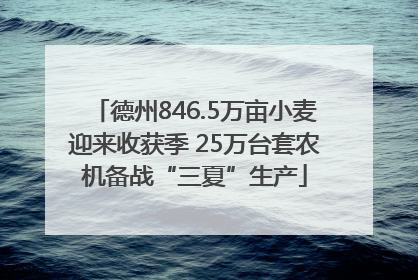 德州846.5万亩小麦迎来收获季 25万台套农机备战“三夏”生产