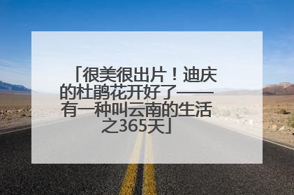 很美很出片！迪庆的杜鹃花开好了——有一种叫云南的生活之365天