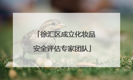 徐汇区成立化妆品安全评估专家团队