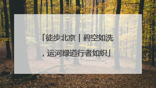 徒步北京｜碧空如洗，运河绿道行者如织
