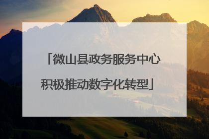微山县政务服务中心积极推动数字化转型