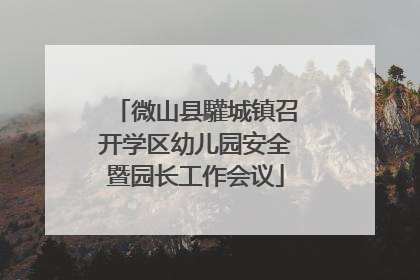 微山县驩城镇召开学区幼儿园安全暨园长工作会议