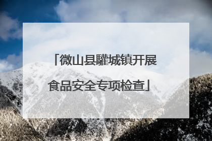 微山县驩城镇开展食品安全专项检查