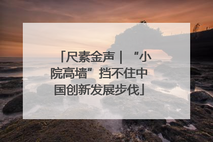 尺素金声｜“小院高墙”挡不住中国创新发展步伐
