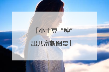 小土豆“种”出共富新图景