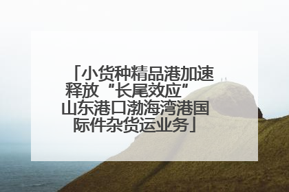 小货种精品港加速释放“长尾效应” 山东港口渤海湾港国际件杂货运业务
