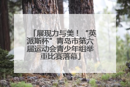 展现力与美！“英派斯杯”青岛市第六届运动会青少年组举重比赛落幕