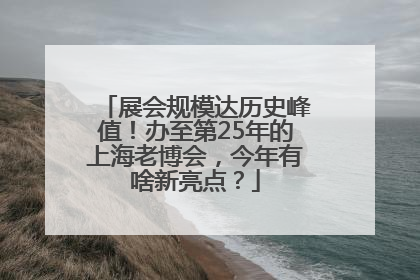 展会规模达历史峰值！办至第25年的上海老博会，今年有啥新亮点？