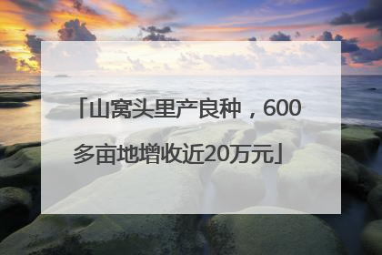 山窝头里产良种，600多亩地增收近20万元