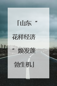 山东“花样经济”焕发蓬勃生机