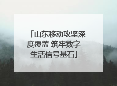 山东移动攻坚深度覆盖 筑牢数字生活信号基石