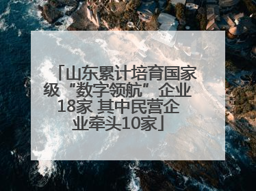 山东累计培育国家级“数字领航”企业18家 其中民营企业牵头10家