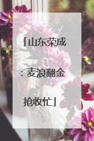 山东荣成：麦浪翻金抢收忙