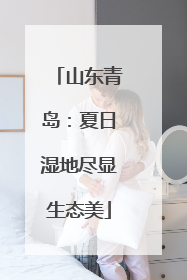 山东青岛：夏日湿地尽显生态美