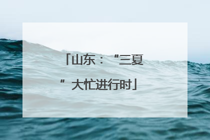 山东：“三夏”大忙进行时