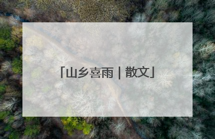 山乡喜雨｜散文