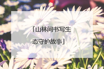 山林间书写生态守护故事